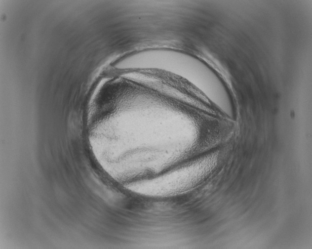 X0000065260107200603131212