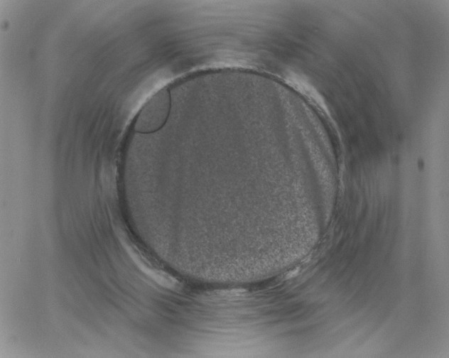 X0000065260108200603131212