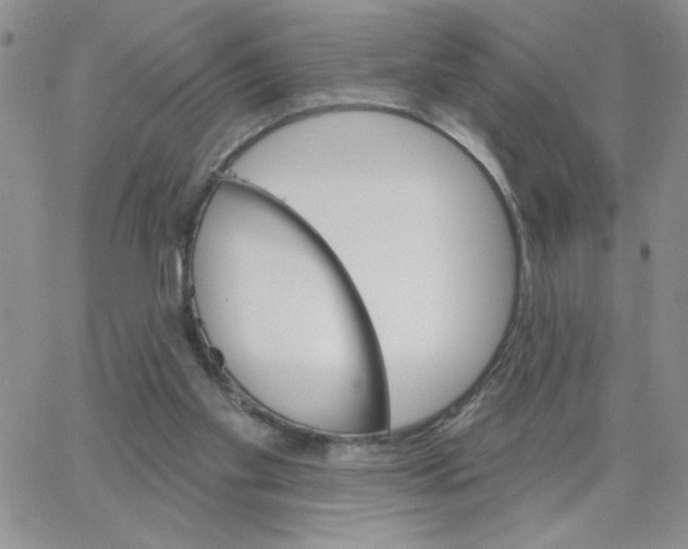 X0000065260109200603131212