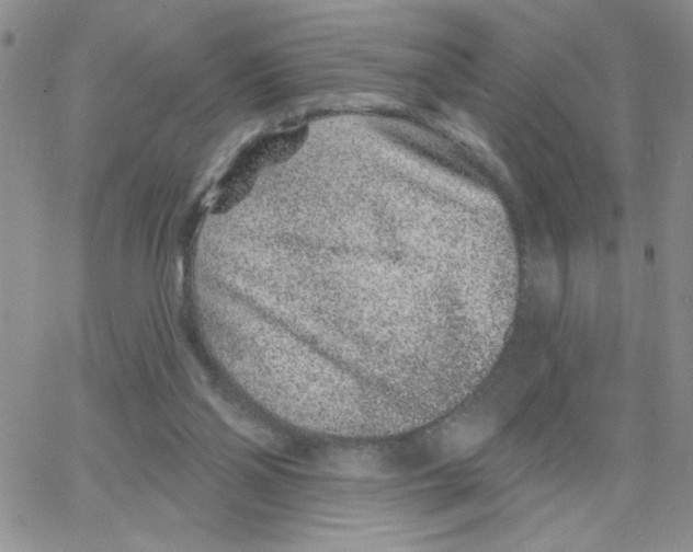 X0000065260110200603131212