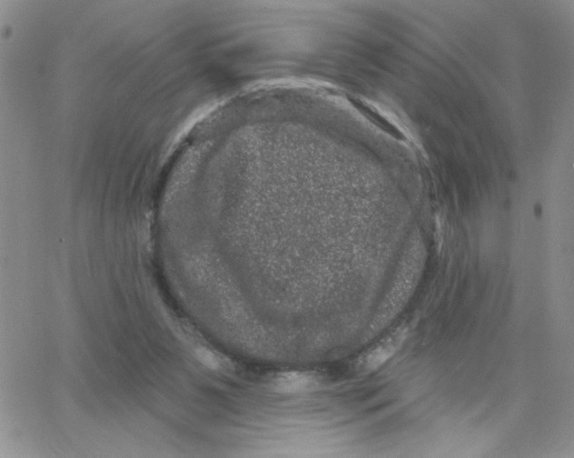 X0000065260111200603131212