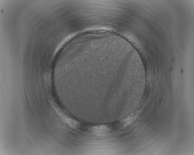 X0000065260112200603131212