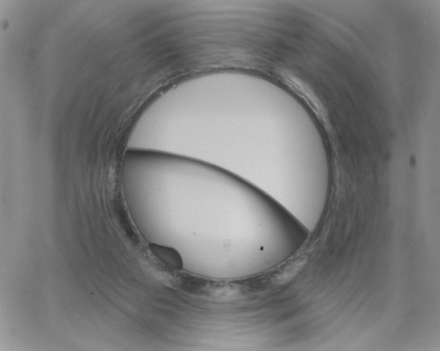 X0000065260113200603131212