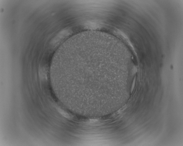 X0000065260114200603131212