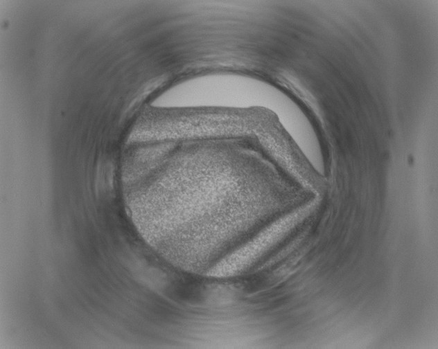 X0000065260115200603131212