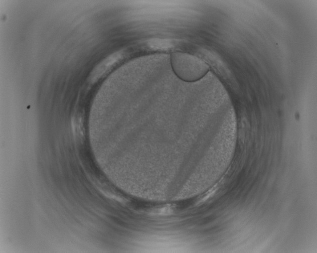 X0000065260116200603131212