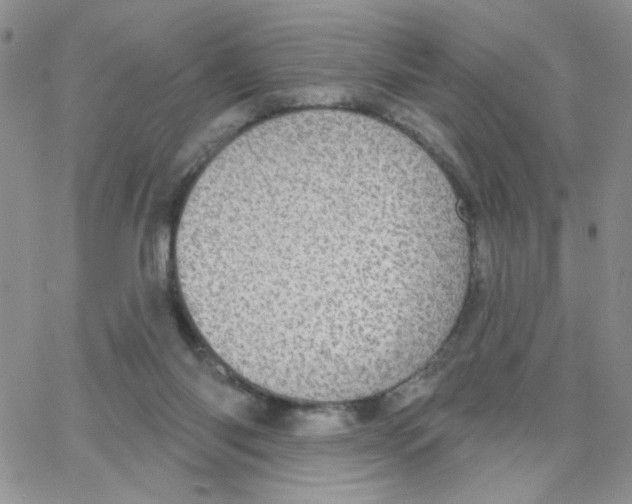 X0000065260118200603131212