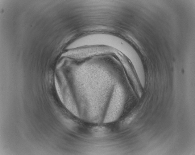 X0000065260119200603131212