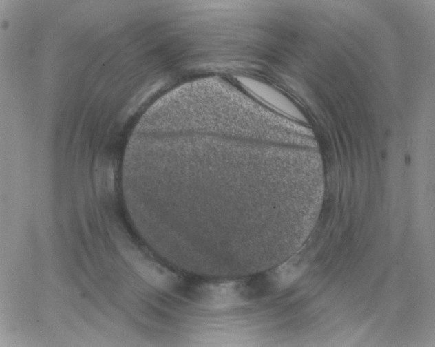 X0000065260120200603131212