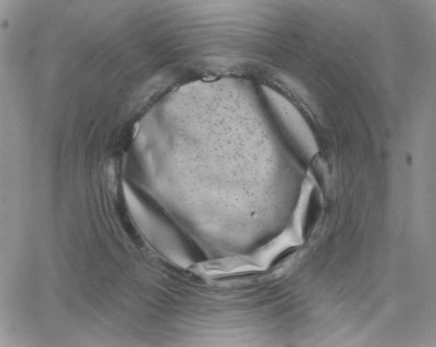 X0000065260121200603131212