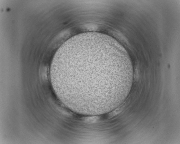 X0000065260122200603131212