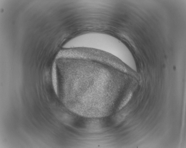 X0000065260123200603131212