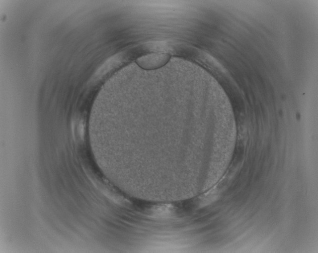 X0000065260124200603131212