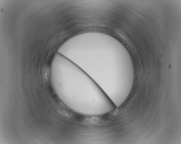 X0000065260125200603131212