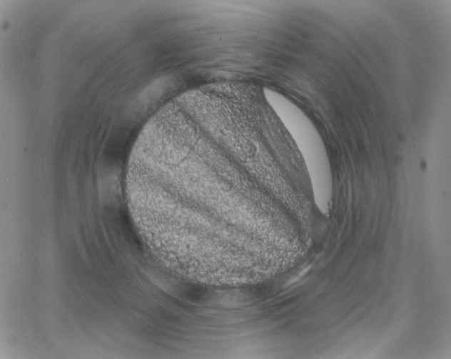 X0000065260127200603131212