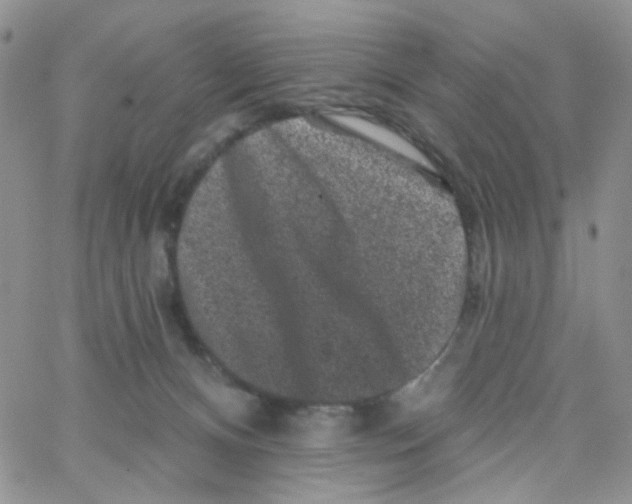 X0000065260128200603131212