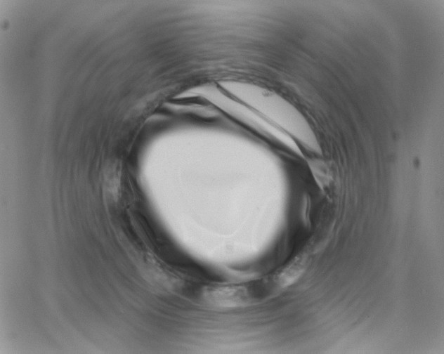 X0000065260129200603131212