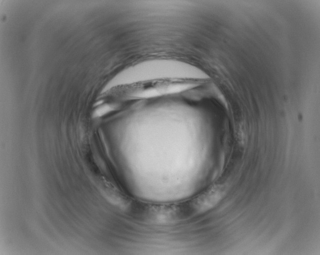 X0000065260131200603131212