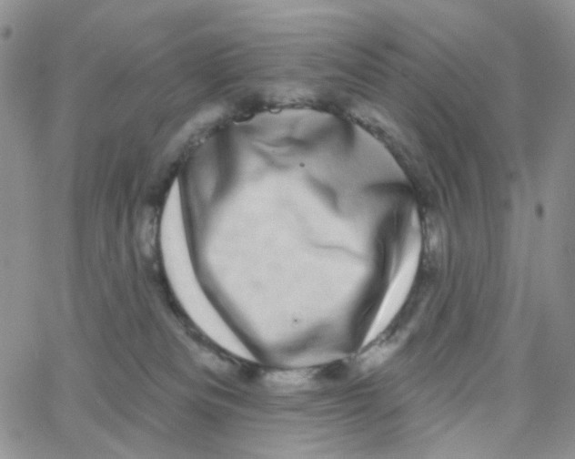 X0000065260133200603131212