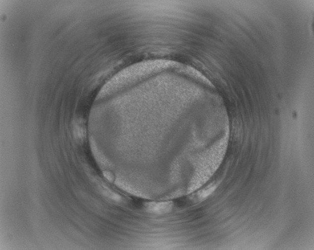 X0000065260135200603131212