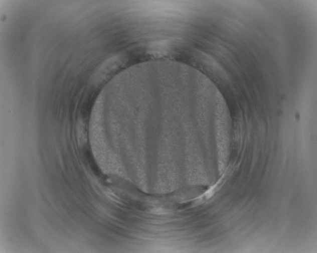 X0000065260136200603131212