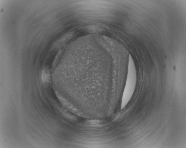 X0000065260137200603131212