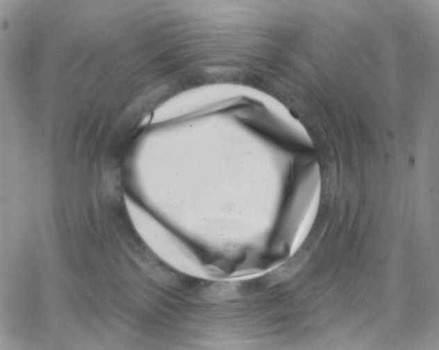 X0000065260138200603131212