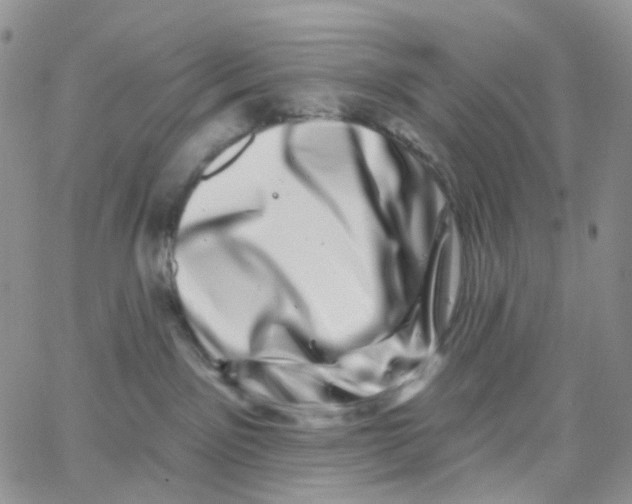 X0000065260141200603131212