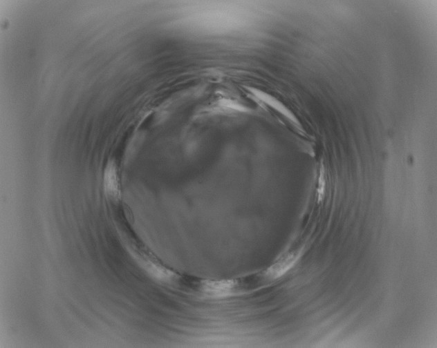 X0000065260143200603131212