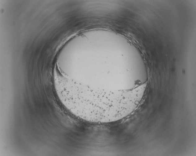 X0000065260146200603131211