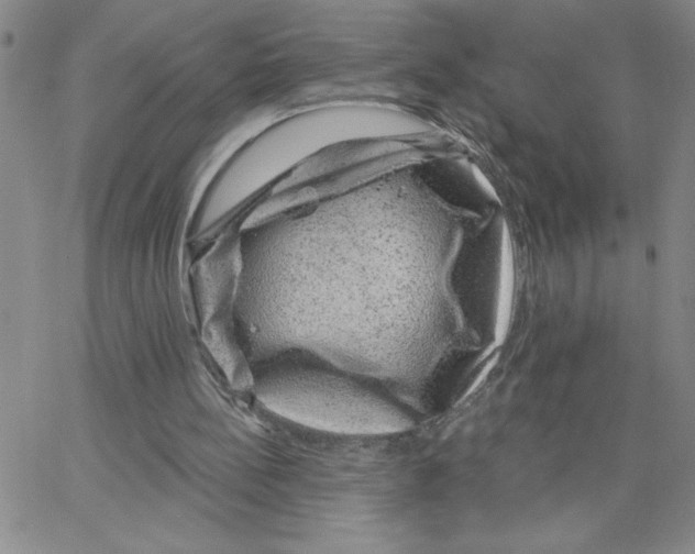 X0000065260148200603131211