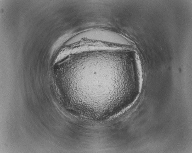 X0000065260149200603131211