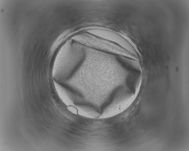 X0000065260151200603131211