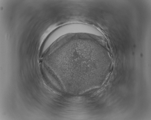 X0000065260152200603131211