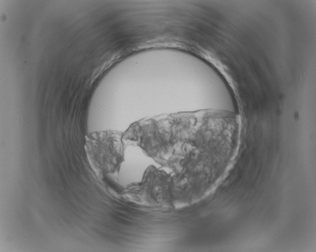 X0000065260153200603131211