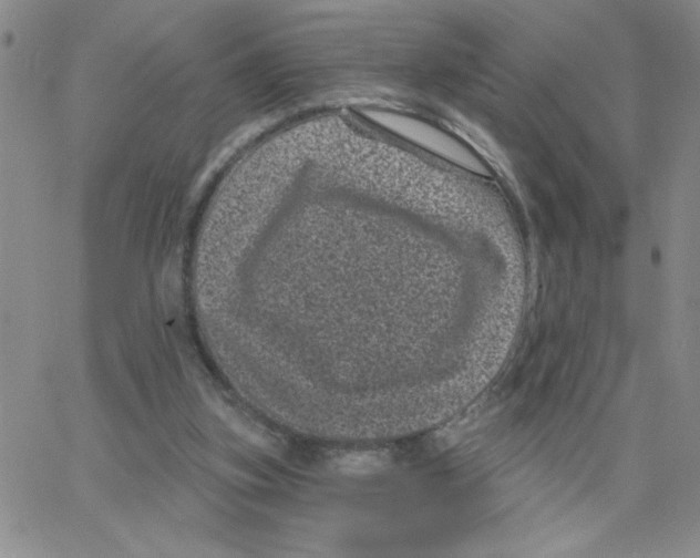 X0000065260155200603131211