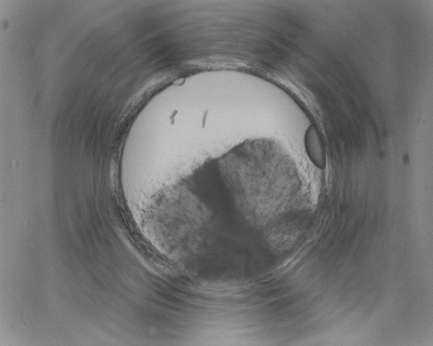 X0000065260157200603131211