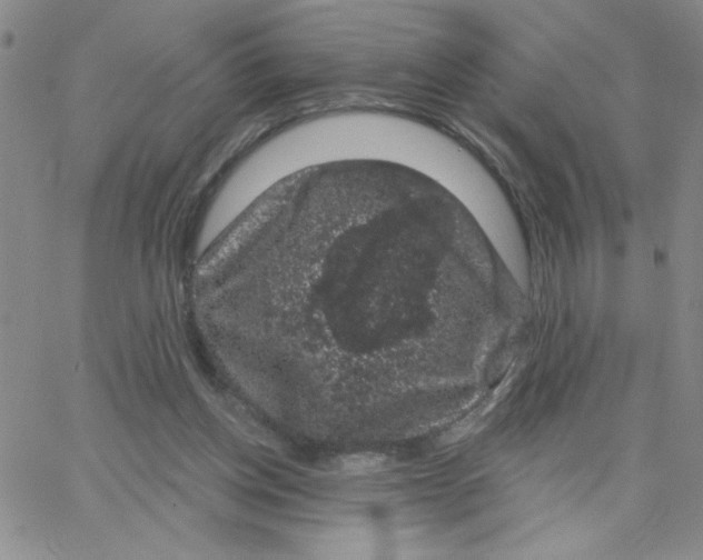 X0000065260158200603131211