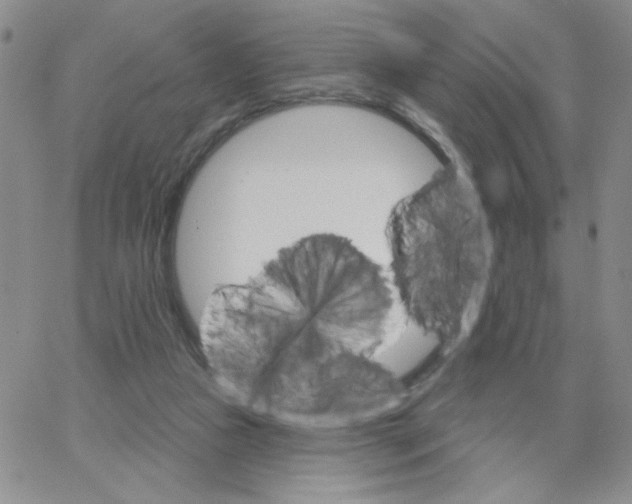 X0000065260161200603131211