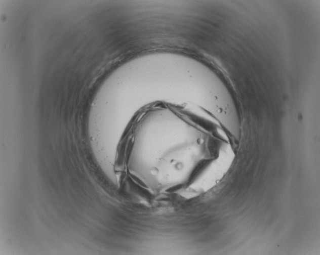 X0000065260162200603131211