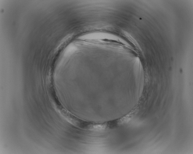 X0000065260163200603131211