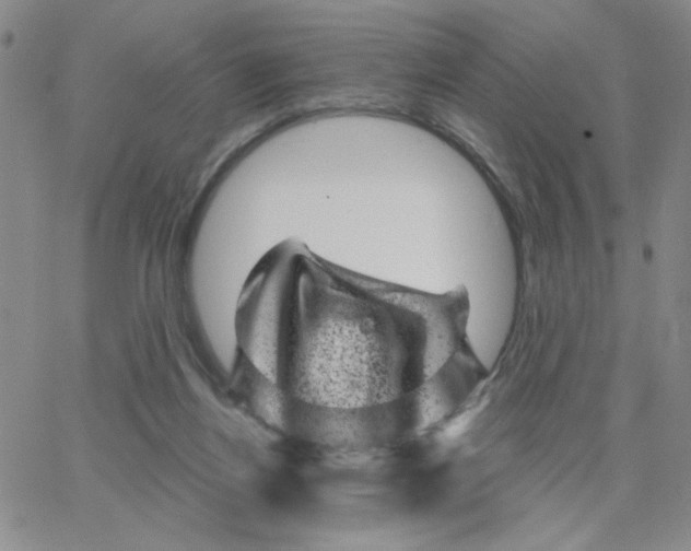 X0000065260164200603131211