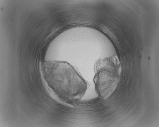 X0000065260165200603131211