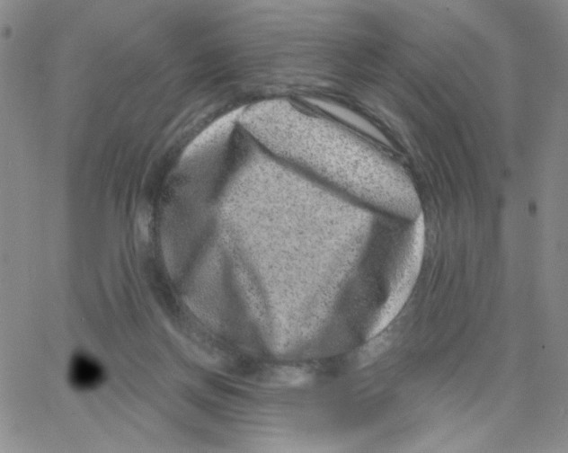 X0000065260166200603131211