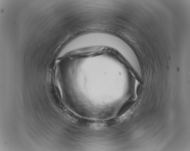 X0000065260168200603131211