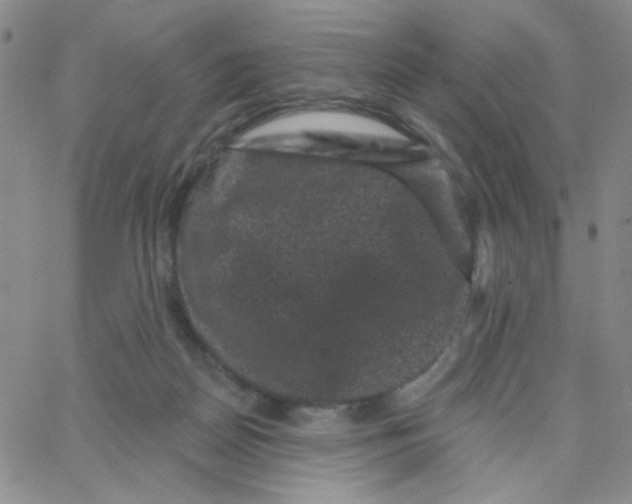 X0000065260170200603131211