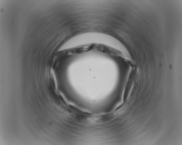 X0000065260172200603131211