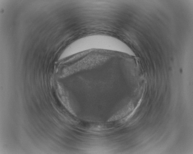 X0000065260174200603131211