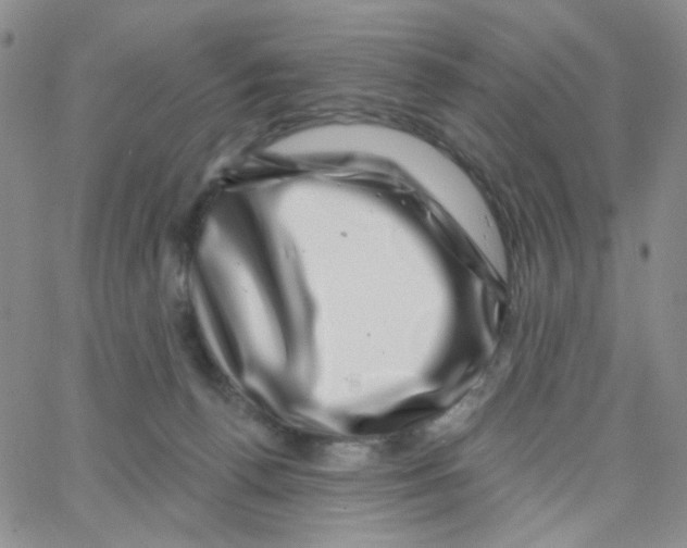 X0000065260176200603131211