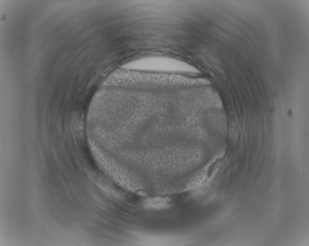 X0000065260179200603131211